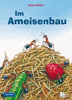 Im Ameisenbau