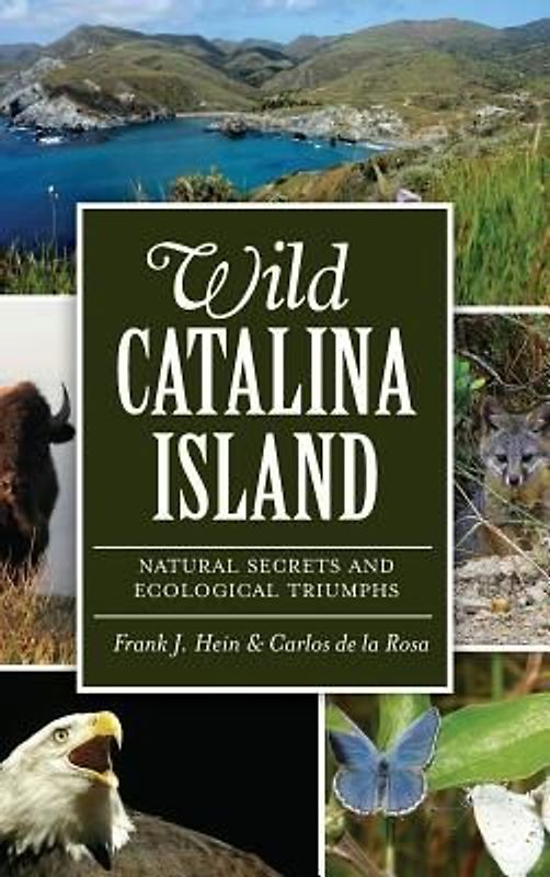Wild Catalina Island