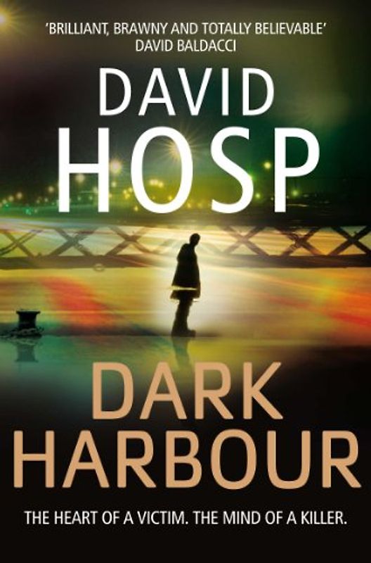 Dark Harbour (Scott Finn 1)