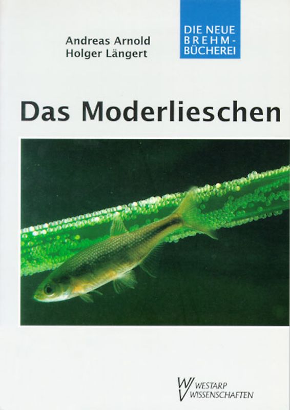 Das Moderlieschen