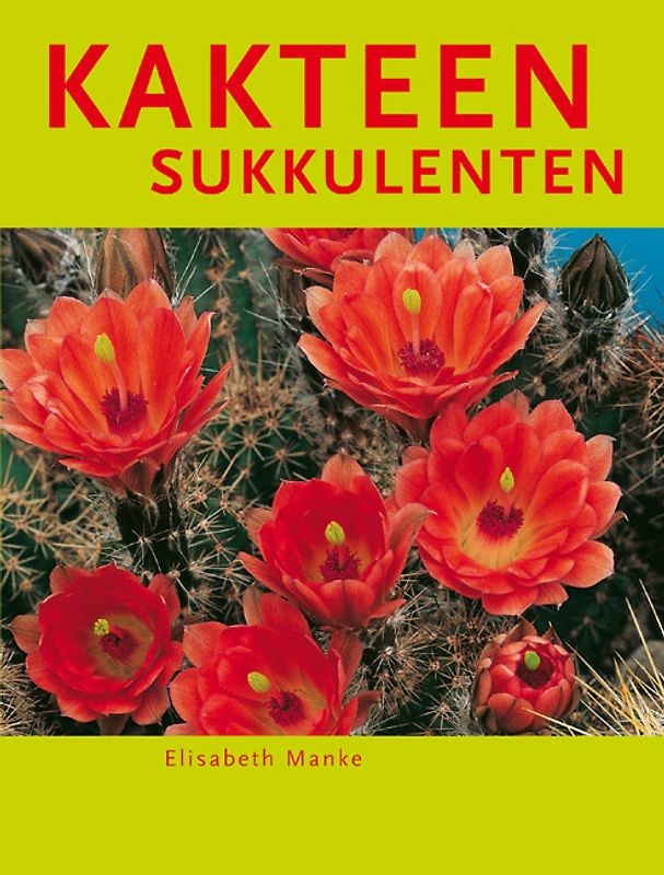 Kakteen, Sukkulenten