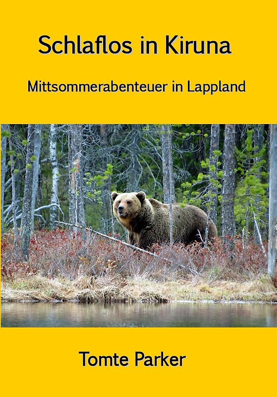 Schlaflos in Kiruna
