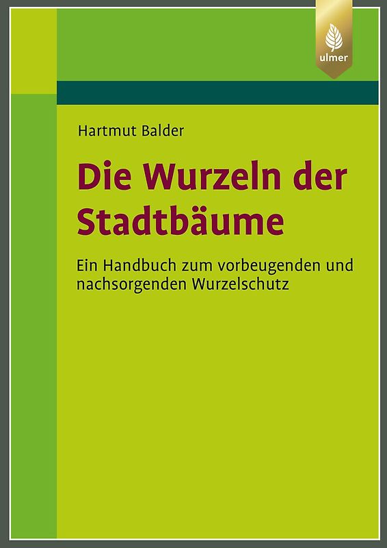 Die Wurzeln der Stadtbäume