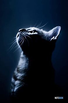 Notebook: The cat and the blue glow - Wide Ruled - 100 Pages - 6x9