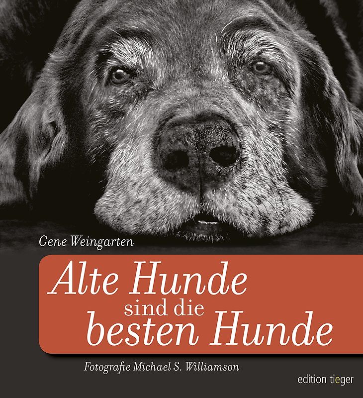 Alte Hunde sind die besten Hunde
