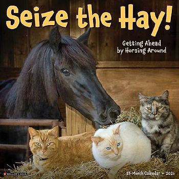 Seize the Hay 2026 12 X 12 Wall Calendar