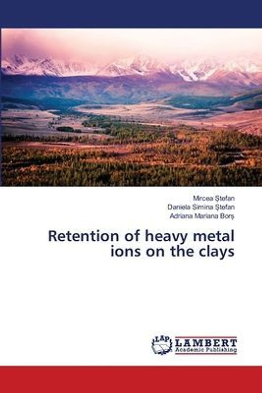 Retention of heavy metal ions on the clays