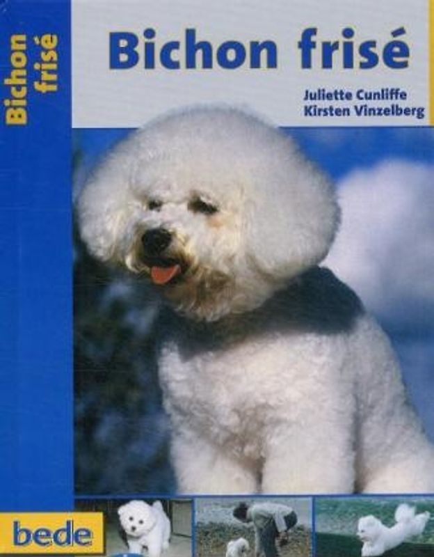 Praxisratgeber Bichon frisé