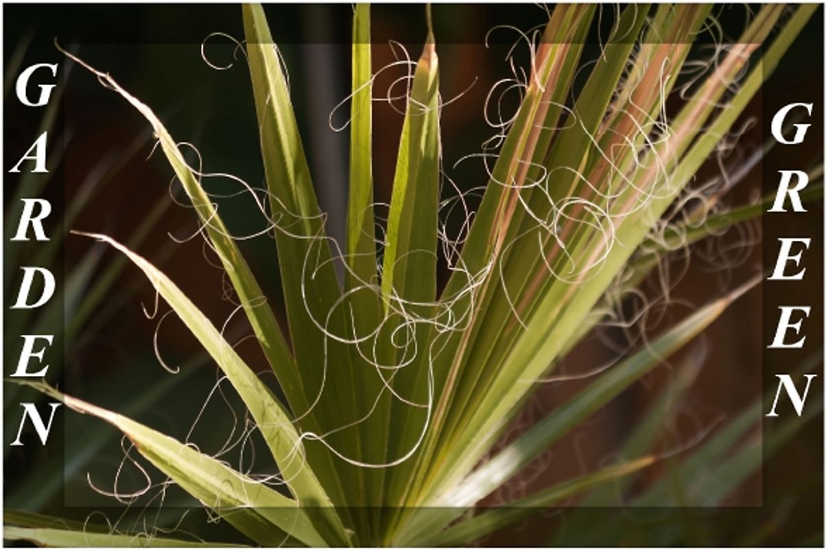 GARDEN GREEN (Posterbuch DIN A2 quer)