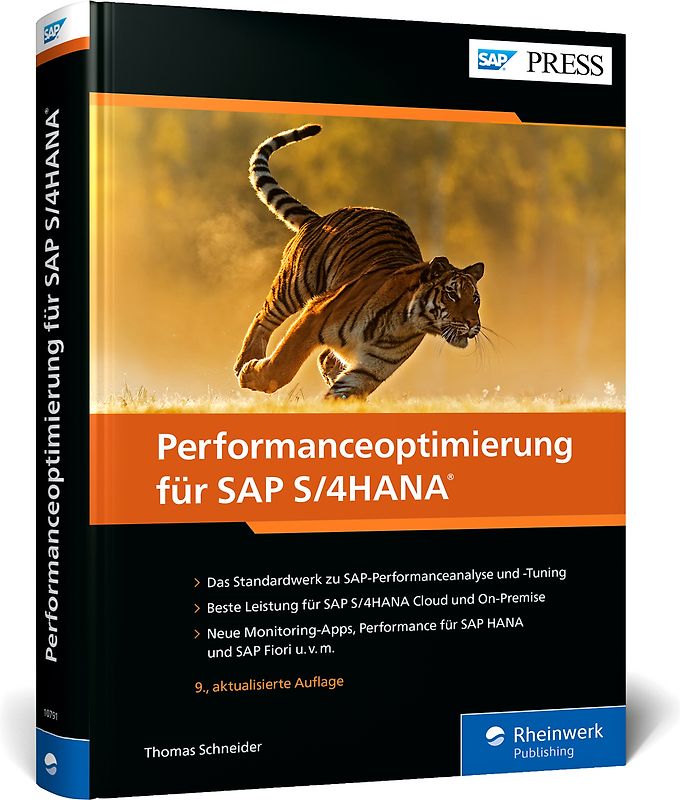 Performanceoptimierung für SAP S/4HANA