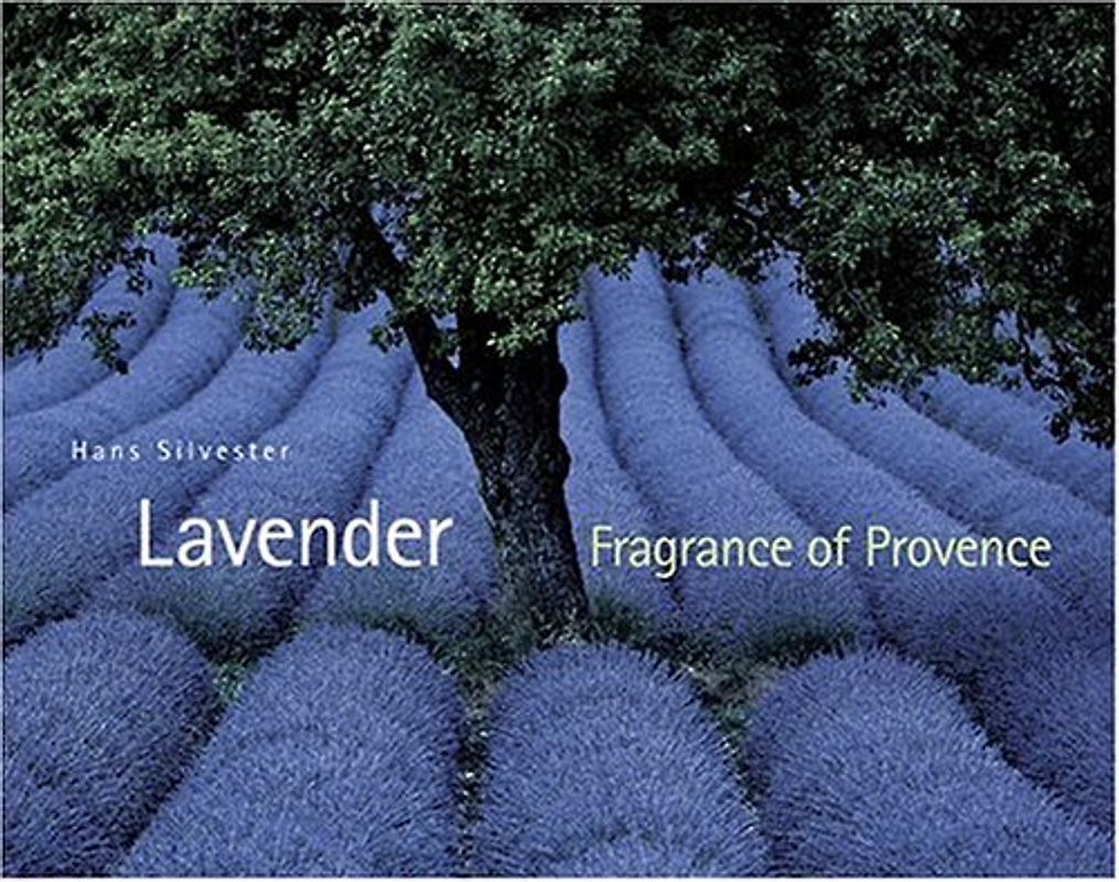Lavender: Fragrance of Provence - Silvester, Hans