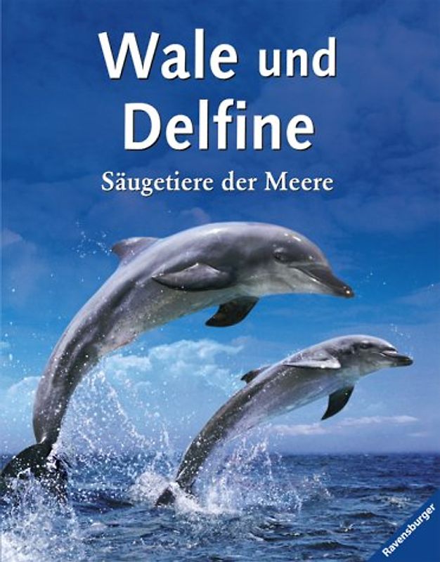 Wale und Delfine