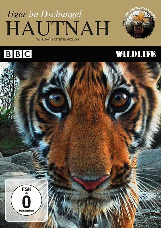 BBC Wildlife: Hautnah - Tiger im Dschungel (Teil 1) DVD