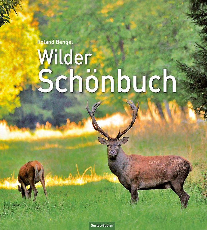 Wilder Schönbuch