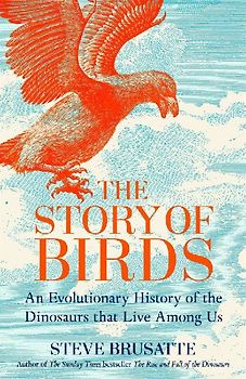 The Story of Birds