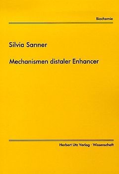 Mechanismen distaler Enhancer