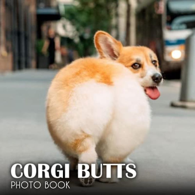 Corgi Butts Picture Book: 2023 Picture Book For Photos Of Corgi Butts With 30+ Photos Pictures, Photo Book Birthday Christmas Gifts For Men Women Dad Mom