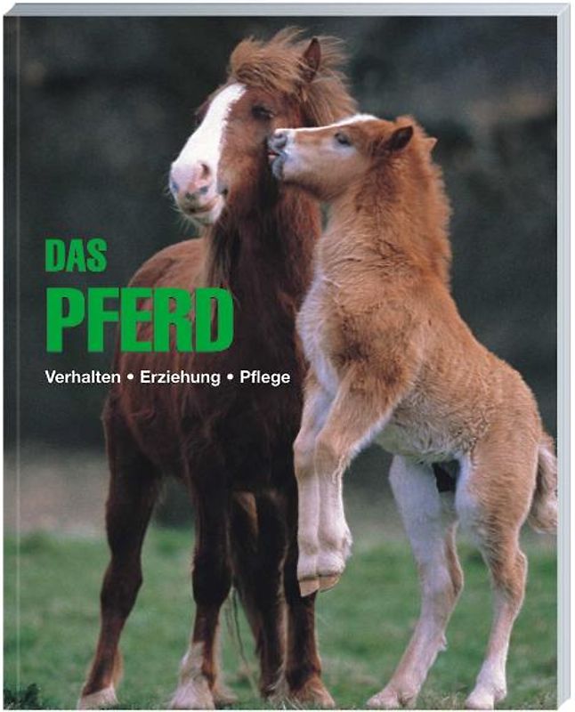 Das Pferd