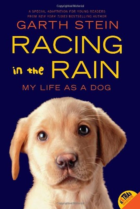 Racing in the Rain: My Life as a Dog - Stein, Garth