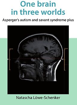 One brain in three worlds