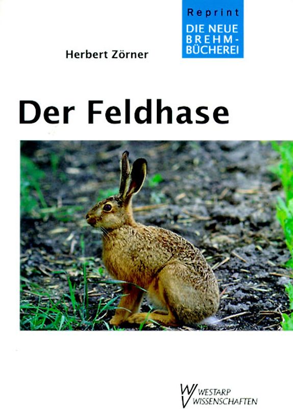 Der Feldhase