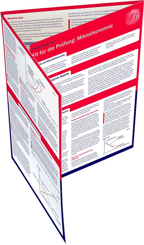 Fit für die Prüfung: Mathematik für Wirtschaftswissenschaften