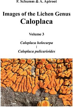 Images of the Lichen Genus Caloplaca, Vol 3
