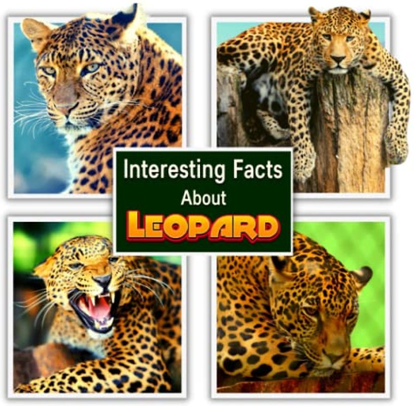 Interesting Facts About Leopard (A Colorful Picture Book for Kids)