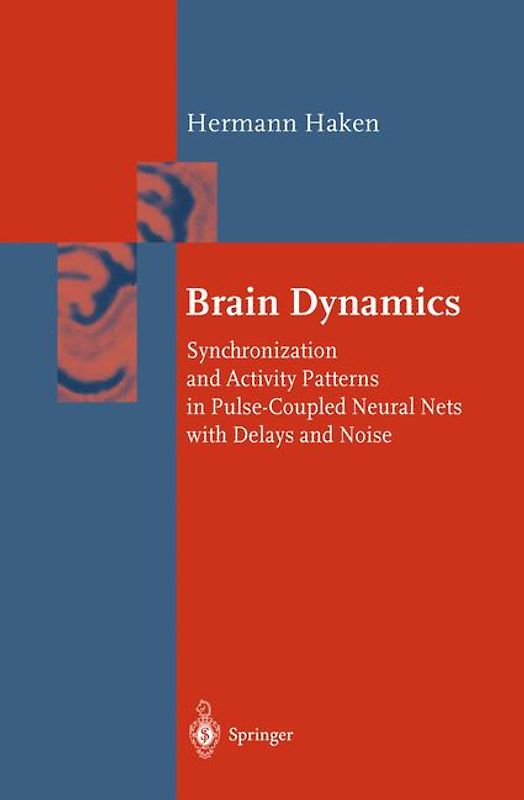 Brain Dynamics