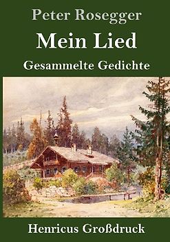 Mein Lied (Großdruck)