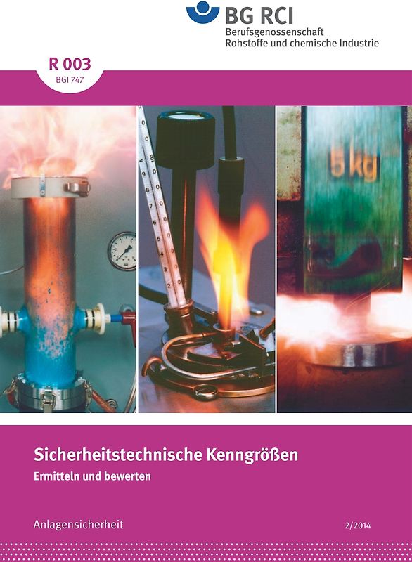 R 003 - Sicherheitstechnische Kenngrößen (DGUV 213-065)