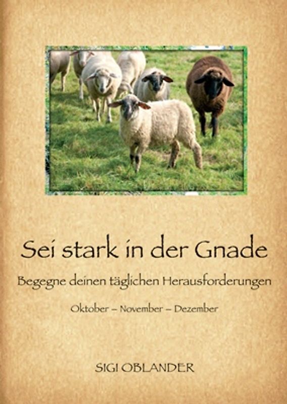 Sei stark in der Gnade - Begegne deinen täglichen Herausforderungen