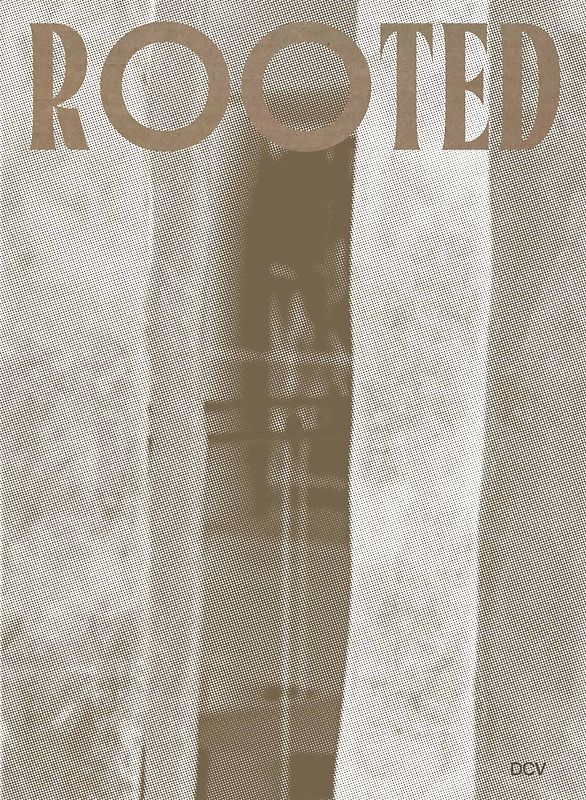 Rooted. Brasilianische Künstlerinnen / Female Brazilian Artists