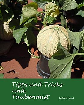 Tipps und Tricks und Taubenmist