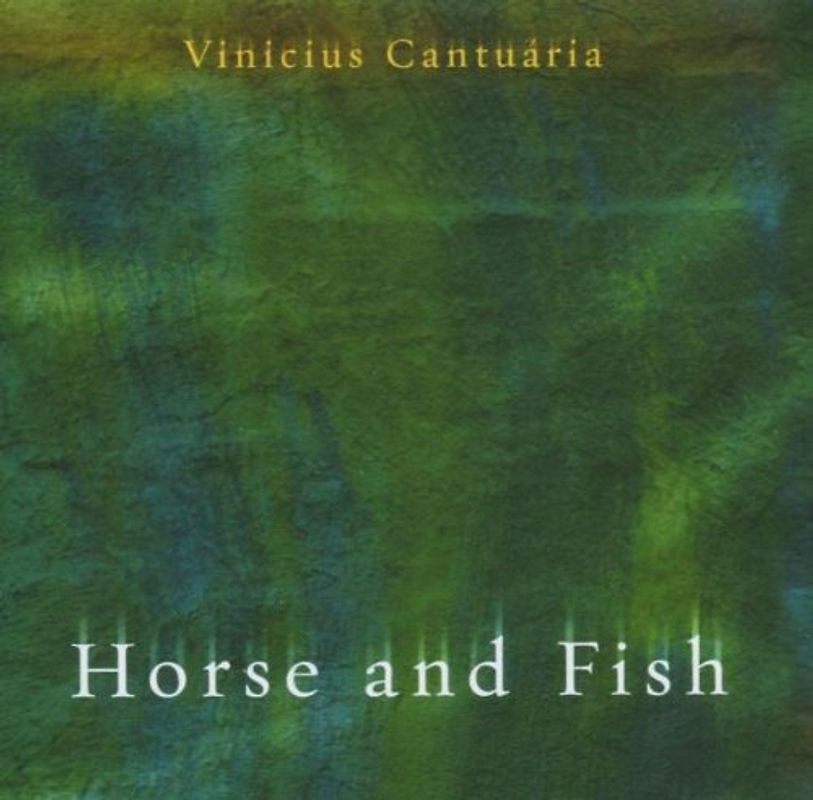 Vinicius Cantuaria - Horse and Fish