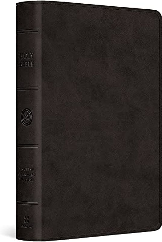 Large Print Bible-ESV