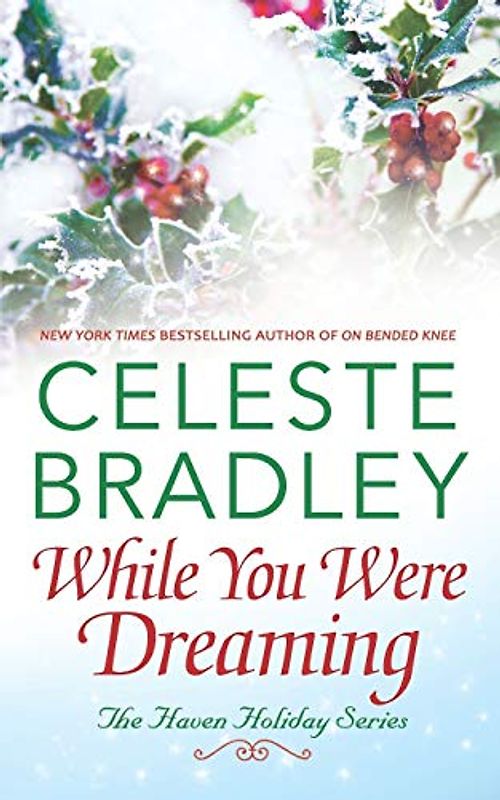 While You Were Dreaming (Haven Holiday, Band 2)
