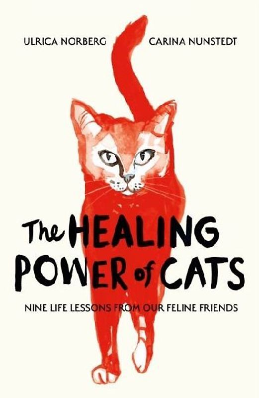 The Healing Power of Cats
