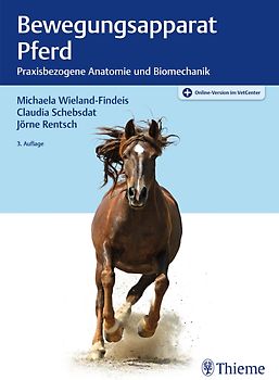 Bewegungsapparat Pferd