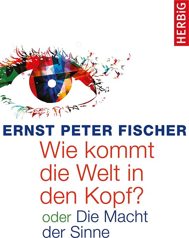 Wie kommt die Welt in den Kopf?
