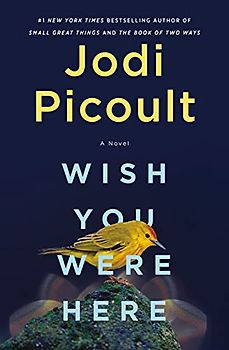 Wish You Were Here: A Novel