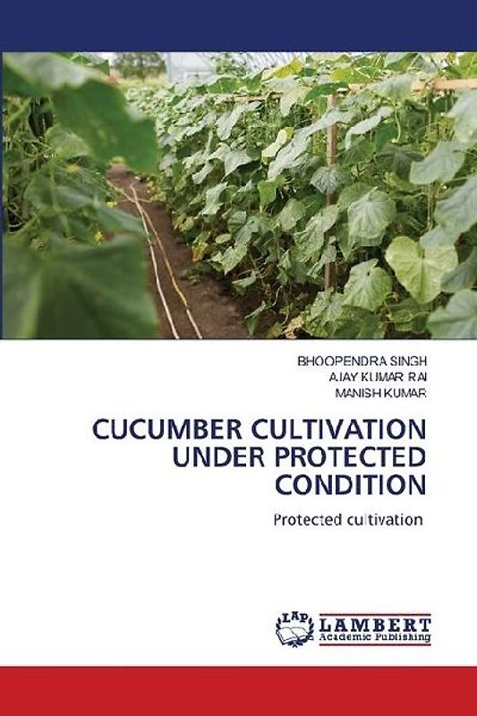 CUCUMBER CULTIVATION UNDER PROTECTED CONDITION