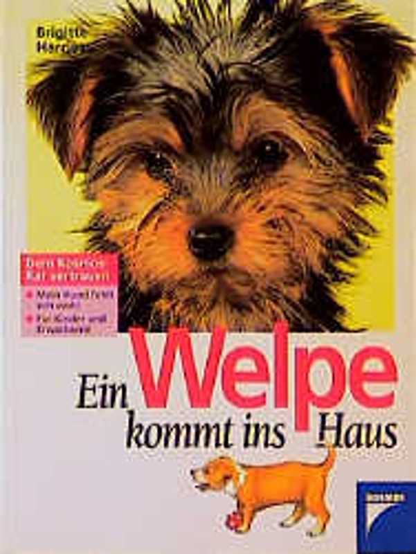 Ein Welpe kommt ins Haus