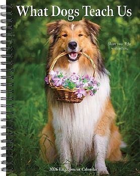 What Dogs Teach Us 2026 6.5 X 8.5 Engagement Calendar