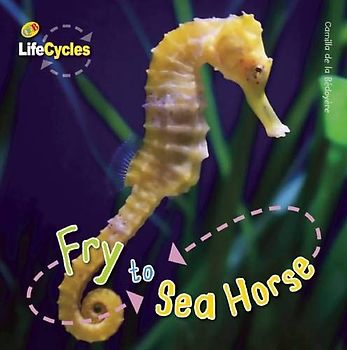 Fry to Sea Horse (Life Cycles)