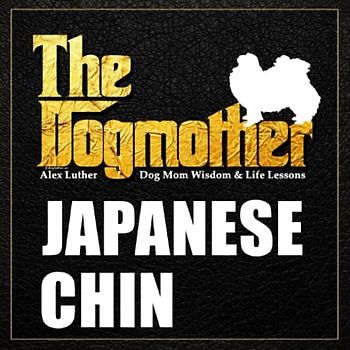 The Dogmother: Japanese Chin: (Dog Mom Wisdom & Life Lessons)