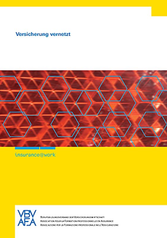 youngprofessional@insurance - Deutsche Ausgabe / insurance@work - Versicherung vernetzt