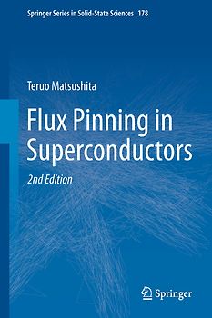 Flux Pinning in Superconductors