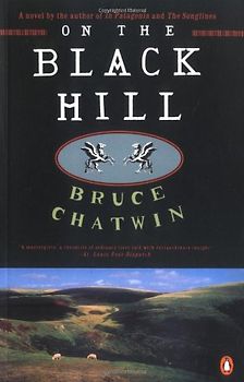On the Black Hill: A Novel