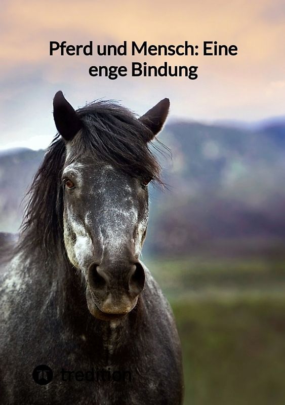 Pferd und Mensch: Eine enge Bindung